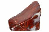 Polished Stromatolite (Collenia) - Minnesota #104435-1